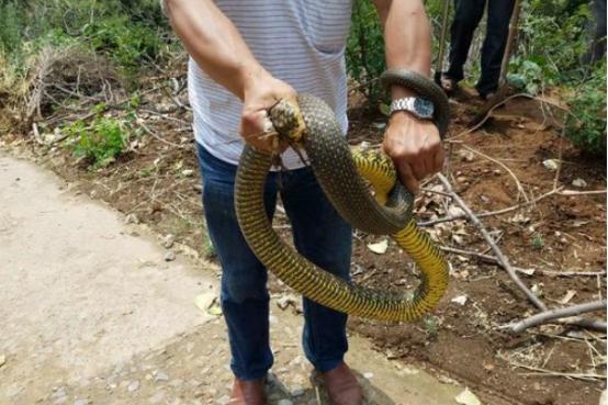 河南，探寻华夏文明的厚重历史与独特魅力