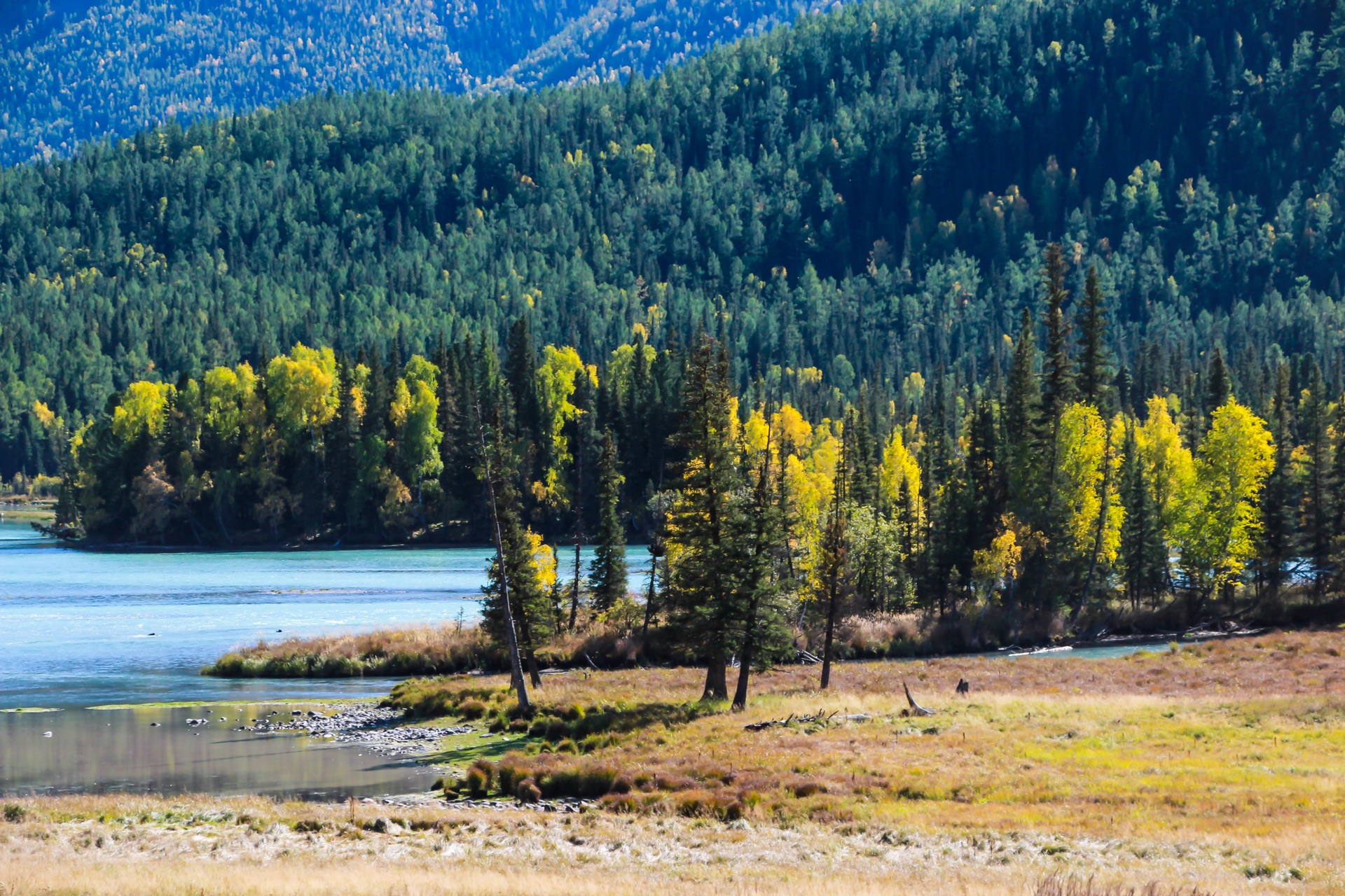 新疆,多元文化交融与发展的璀璨边疆